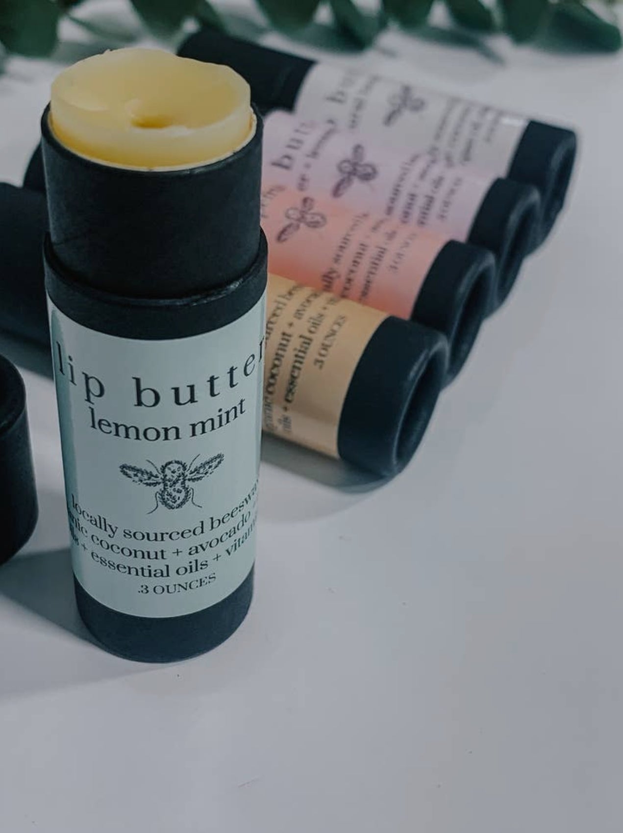 Beeswax Lip Balm